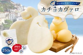 がんばれ中日ドラゴンズ！カチョカヴァロ1個【中日ドラゴンズコラボ】【0073-088】