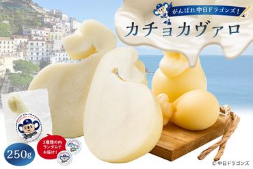 がんばれ中日ドラゴンズ！カチョカヴァロ1個【中日ドラゴンズコラボ】【0073-088】