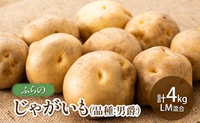 【2026年秋発送】ふらの じゃがいも（品種：男爵） 計4kg LM混合 北海道 富良野市 野菜 新鮮 直送 じゃがいも 男爵 道産 ふらの 送料無料 数量限定 先着順