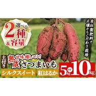 a845 《種類・内容量が選べる》鹿児島県産さつまいも土付き5～10kg(シルクスイート・紅はるか)【コウエイ環境】姶良市 鹿児島県産 さつまいも サツマイモ 熟成芋 さつま芋 シルクスイート 紅はるか 5kg 10kg 生芋