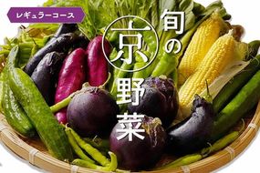 旬の京野菜　レギュラーコース≪京都 丹波 野菜 ふるさと納税野菜≫ ※沖縄・離島・諸島へのお届け不可