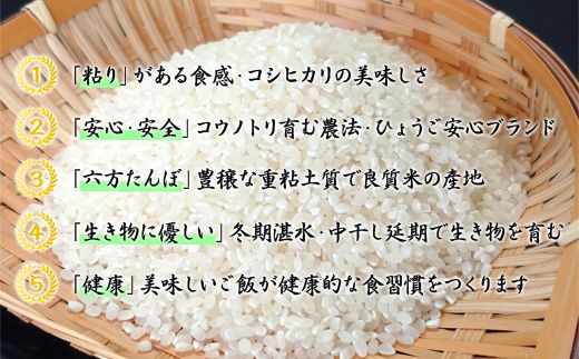 新米 六方たんぼ コシヒカリ 減農薬（白米：3kg）令和8年産 / 米 お米 精米 コシヒカリ コウノトリ育む農法
