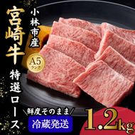 【新鮮チルド発送!!】A5等級宮崎牛特選ロース焼肉 1.2kg（黒毛和牛 牛肉 宮崎牛 ロース 霜降り 赤身 焼肉用 宮崎県）