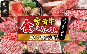 迷ったらコレ!宮崎牛食べ尽くし定期便(10ヵ月)_01-068-T10_(都城市) A5 5等級 牛肉 バラ 赤身 サーロインステーキ ヒレステーキ ロース 焼き肉 しゃぶしゃぶ すき焼き スライス 切り落とし
