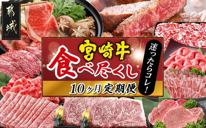 迷ったらコレ!宮崎牛食べ尽くし定期便(10ヵ月)_01-068-T10_(都城市) A5 5等級 牛肉 バラ 赤身 サーロインステーキ ヒレステーキ ロース 焼き肉 しゃぶしゃぶ すき焼き スライス 切り落とし