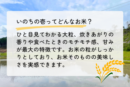 432. 【令和6年産】農薬・化学肥料不使用　オータニ農業の『いのちの壱』精米10kg【10月下旬発送開始】