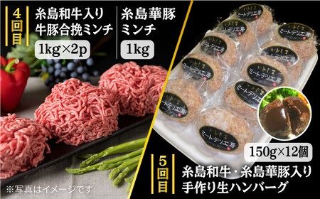 家族 で たっぷり！ ボリューム 満載 定期便全7回 （月1回） 4人用 【福岡 糸島産 牛肉 豚肉 鶏肉 切り落とし ミンチ ハンバーグ 餃子】 《糸島》 【糸島ミートデリ工房】 [ACA085] すき焼き 定期便 切り落とし しゃぶしゃぶ ステーキ 焼肉 赤身 黒毛和牛 国産