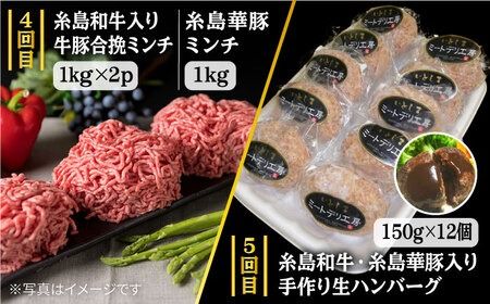 家族 で たっぷり！ ボリューム 満載 定期便全7回 （月1回） 4人用 【福岡 糸島産 牛肉 豚肉 鶏肉 切り落とし ミンチ ハンバーグ 餃子】 《糸島》 【糸島ミートデリ工房】 [ACA085]