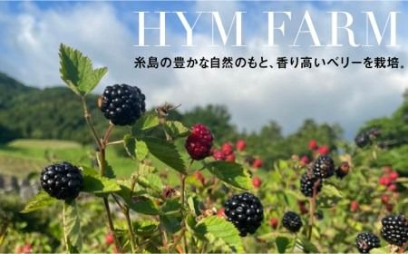 糸島産 ブルーベリー ＆ ブラックベリー ワイン 720ml×2種 セット 糸島市 / HYM FARM [AHM001] ワイン ギフト ブルーベリー お酒 贈り物 記念日 贈答
