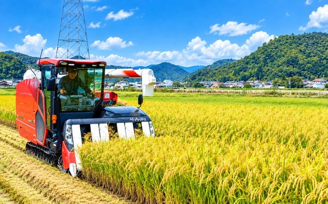 岐阜県美山産コシヒカリ 令和8年産 新米 5kg| 令和8年 米 精米 白米 お米 コシヒカリ こしひかり ツヤ 粘り 甘み ヤマガタ農産 ※2026年11月～発送