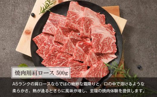 【定期便3ヶ月】【A5ランク限定】淡路島産黒毛和牛 贅沢定期便【神戸牛】