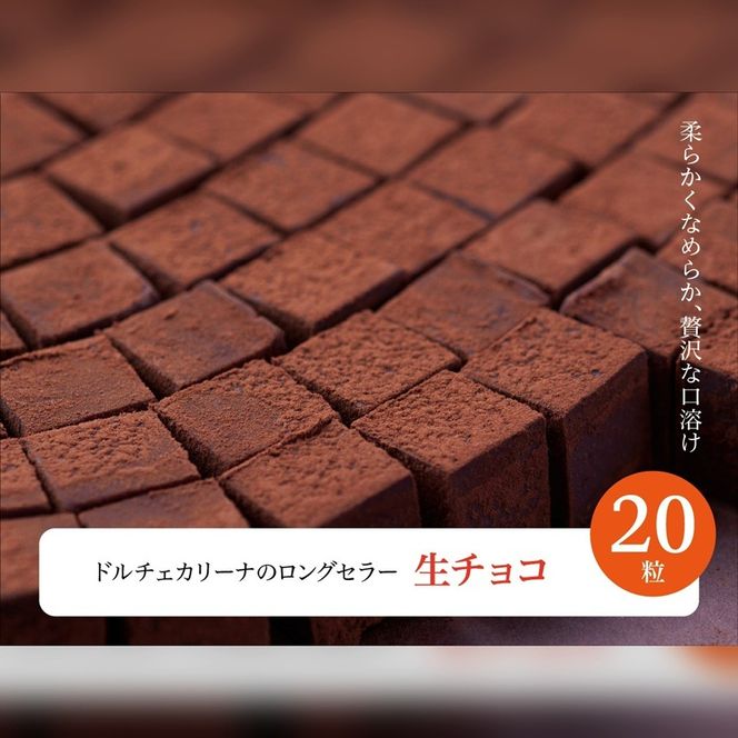 チョコレート ショコラ 詰め合わせ ボンボンショコラ 10種 生チョコ 小20粒 オランジェット 3枚 ｜ スイーツ チョコレート ショコラ ドルチェカリーナ パティシエ 人気 詰め合わせ セット 洋菓子 長野県 伊那市 【020-61】