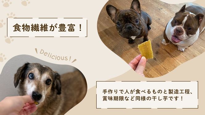 【 塚田商店 】 犬用 干し芋 訳あり 100g × 8袋 無選別 ドックフード ペットフード 犬 国産 無添加 さつまいも 芋 おやつ 和菓子 いも イモ 工場直送 [BD034ci]