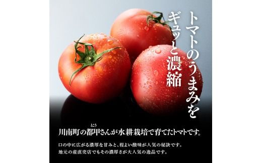 【訳あり】宮崎県産とまと 川南町産トマト１ｋｇ（９～１８個） 【 宮崎県産 九州産 川南町産 トマト とまと 野菜 ヘルシー 訳あり わけあり 】 [E6602]