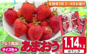 定期便 3回 いちご 発送時期 2027年2月～4月 うるう農園のあまおう サイズ色々 4パック 約1.14kg 配送不可 離島 果物類 フルーツ 安心 安全 美味しい 食べやすい 