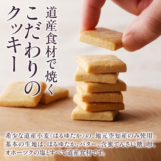 クッキー専門店の【ロック缶・ショータイム缶】| 北海道 お菓子 焼き菓子 無添加 食べ比べ 贈答 はるゆたか 小麦 カカオニブ クッキー缶 お菓子缶 プレゼント 贈り物 送料無料