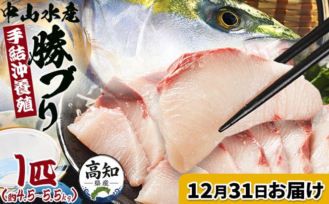 ブリ【12月31日お届け】中山水産 手結沖養殖「勝ブリ」 1匹(4.5kg～5.5kg) - 一尾まるごと 魚 ぶり 鰤 寒ブリ 海鮮 鮮魚 魚介類 ギフト 贈答 お祝い 御祝 刺身 煮物 焼き魚 照り焼き ぶりしゃぶ 一尾 たたき 1本 キロ 産地直送 buri 高知県 香南市 冷蔵 ny-0022