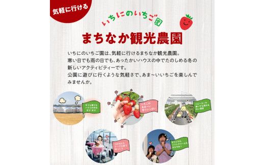 いちご狩り 5品種 食べ放題 50分 ペア 入園券 N085-YB356