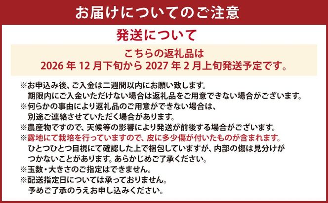 【先行受付】特別栽培スイートスプリング 10kg サイズミックス スイートスプリング みかん フルーツ 果物 果実 特別栽培 九州 熊本県産【2026年12月下旬から2027年2月上旬発送予定】