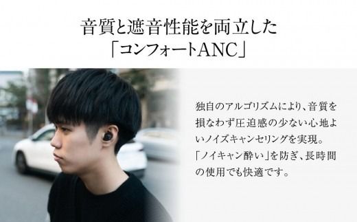 ANC完全ワイヤレスイヤホン final ZE3000 SV ZE3000後継機 /ノイズキャンセリング/ノイキャン/外音取り込み/マイク付き