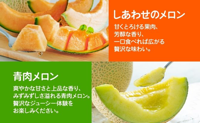 ＜2026年発送＞ふらの産 しあわせのメロン 赤肉 青肉 メロン 2玉 セット 計4kg 富良野メロン