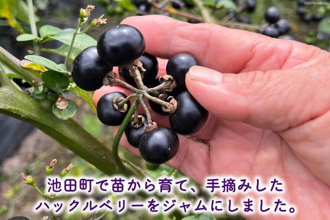 アルプスハックルベリージャム 190g 1個  [花とハーブの里 ガーデンハックルベリー生産者の会 長野県 池田町 48110642] ベリー 果物 フルーツ プレザーブ ジャム ガーデンハックルベリー