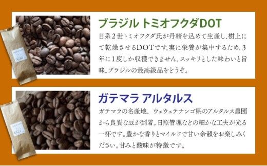 【選べる組み合わせ】自家焙煎 コーヒー豆 100g×3個セット 300g