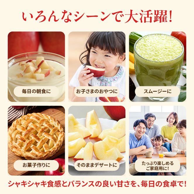 りんご 訳あり 3kg 果物 フルーツ わけあり 不揃い 規格外 ご家庭用 宮城県 大河原町 産地直送 林檎 リンゴ くだもの 先行予約 送料無料