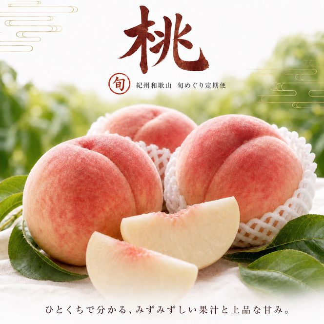 【3・7・11月 全3回】紀州和歌山産旬のフルーツセット（せとか・桃・富有柿） 定期便 【魚鶴】【UT72】 303446_XF91141
