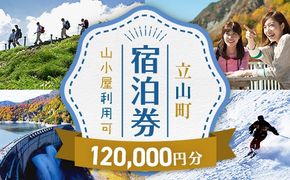 立山町 宿泊施設 宿泊券 120,000円分 宿泊チケット 宿泊 宿 山小屋 山荘 ホテル 旅 旅行 観光 レジャー チケット 登山 トレッキング アルペンルート 山岳観光 立山観光 F6T-1075