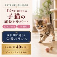 ビューティープロ キャット 子猫用 12ヵ月頃まで 1.5kg ｘ8(ケース単位) キャットフード
