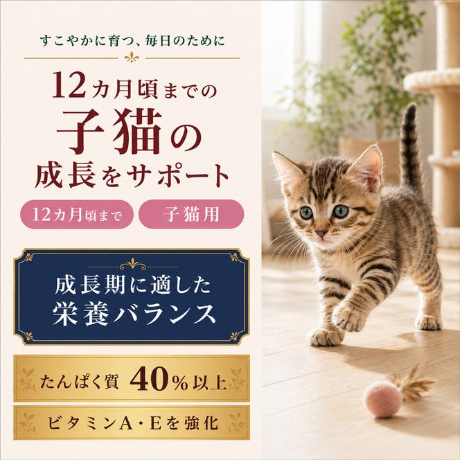ビューティープロ キャット 子猫用 12ヵ月頃まで 1.5kg ｘ8(ケース単位) キャットフード