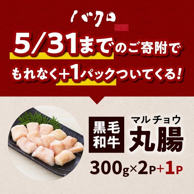 黒毛和牛丸腸（ホルモン）300g入り×2パック　K130-001_cp