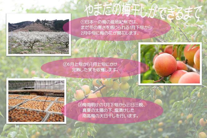 【定期便・3ヵ月毎 全3回】ご家庭用 紀州南高梅 しそ漬 つぶれ 700g×2 ［YM16］ 303446_DX90034