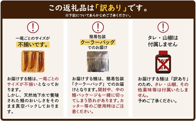 〈最短翌日発送〉【訳あり】さかい河岸水産 国産 うなぎ 蒲焼き 6尾 680g以上！ ※サイズ不揃い 人気 小分け K2739