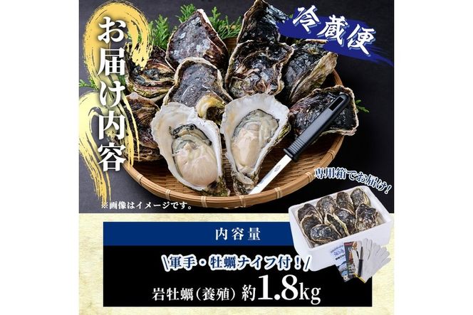 ＜先行予約受付中！2026年6月上旬より順次発送予定＞岩牡蠣 殻付き 大小混合 (約1.8kg) 冷蔵 生食不可 牡蠣 カキ かき 一粒 ひとつぶ 養殖 獲れたて 冷蔵 海の直売所 大分県 佐伯市【AS139】【海べ】