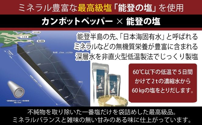 005A747 生胡椒 極(きわみ) 25g×1本【能登の塩 コショウ こしょう カンポットペッパー スパイス カンボジア】