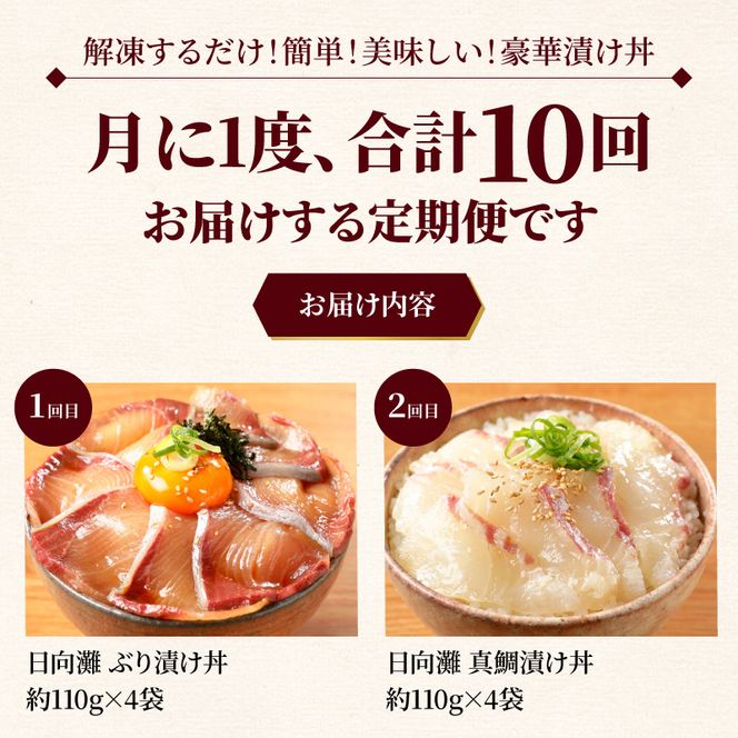 お魚の漬け丼バラエティ10回定期便 N019-YG0190