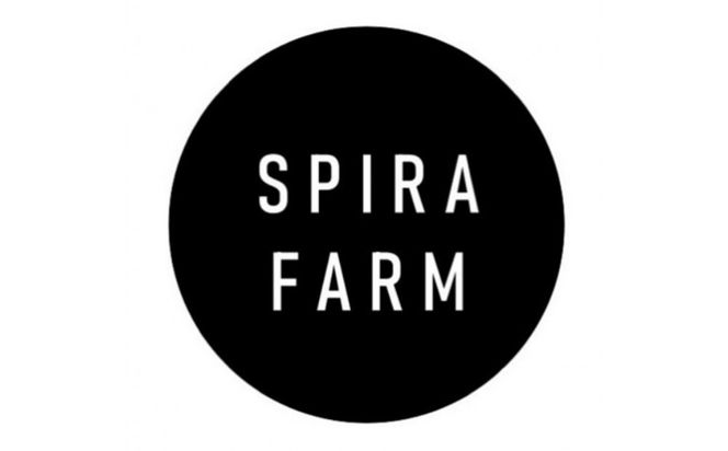 【SPIRA FARM】季節の野菜セット10～12品目入り《農薬・化学肥料は畑での栽培期間中不使用》出雲の自然の恵みを畑からお届け！［出雲 季節の野菜 野菜セット おまかせ 詰め合わせ  新鮮野菜 送料無料 ふるさと納税］ 322032_FY005