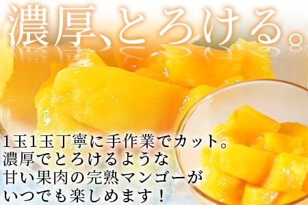 ＜JAみやざき宮崎中央地区本部管内産 宮崎県産 冷凍マンゴー 約270g＞翌月末迄に順次出荷【マンゴー 南国 フルーツ 高級 贅沢 ご褒美 デザート 冷凍保存 スイーツ お菓子作り ゼリー アイス シャーベット 】【b0692_ja】