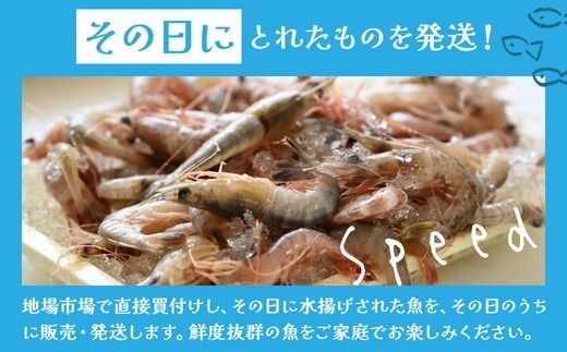 【定期便】鮮度抜群！旬の鮮魚おまかせセット 食べきり6パック セット｜定期便 4回 海鮮 鮮魚 魚 下処理済 新鮮 海鮮盛り合わせ 詰め合わせ 人気 おすすめ 愛知県 美浜町 ※北海道・沖縄・離島への配送不可
