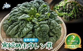 【先行予約/2026年12月上旬以降発送】【北海道平取町産】寒締めホウレン草（ちぢみほうれん草）200g×10袋 BRTO003
