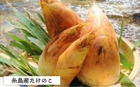 糸島峠の 筍　痺れる辛さが やみつき 筍　食品添加物無添加《糸島》【糸島食品】[ABE012]