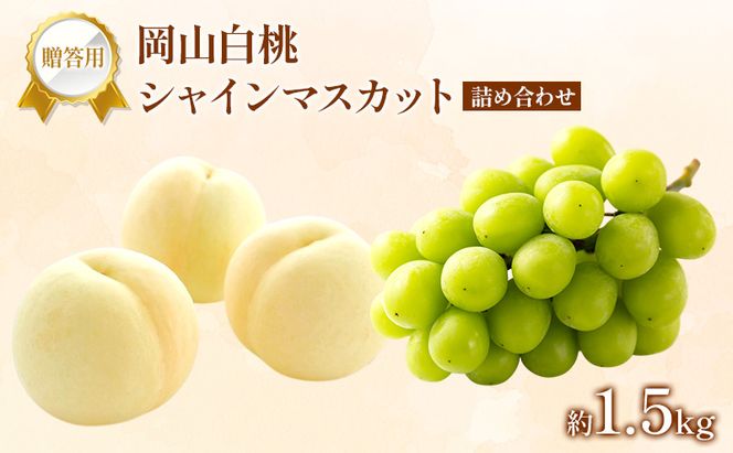 桃 ぶどう 2026年 先行受付 贈答用 白桃 シャインマスカット 詰め合わせ 約1.5kg フルーツ 果物 岡山 赤磐市