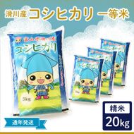 滑川産コシヒカリ（精米20kg）【通年発送】[D-007001]