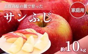 【2026年発送】志賀高原の麓で育った サンふじ （家庭用）約10kg りんご 10kg フルーツ 果物 デザート 長野