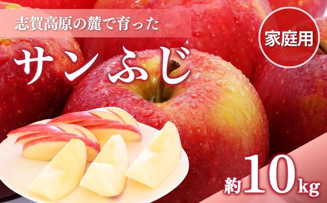 【2026年発送】志賀高原の麓で育った サンふじ （家庭用）約10kg りんご 10kg フルーツ 果物 デザート 長野