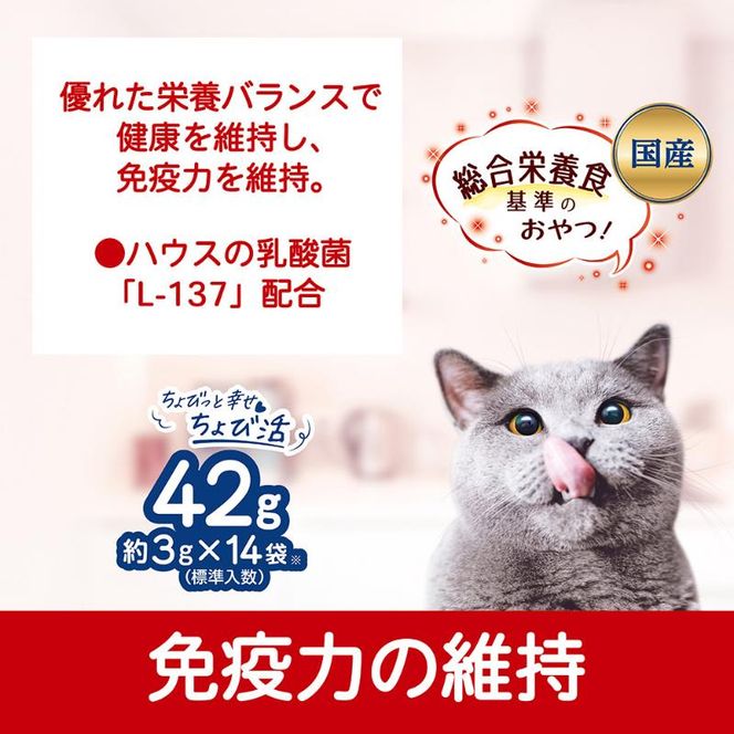 コンボ プレゼント キャット おやつ 免疫力の維持 42g ケース販売 ペットフード 猫 ネコ ねこ キャット ペット 静岡 袋井市