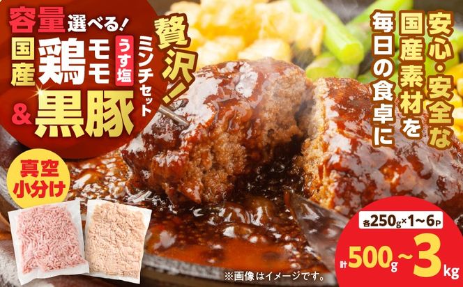 ＜容量選べる＞国産鶏モモミンチ＜うす塩＞＋黒豚ミンチセット 計500g～3kg　K025-017