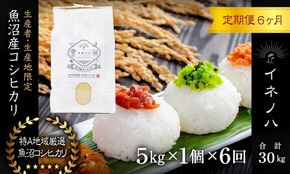 ＜定期便・全6回＞【令和7年産】魚沼産コシヒカリ「イネノハ 」精米(5kg×1)×6回 お米 白米 ご飯 産地直送 ミネラル 栄養分 こだわり 人気 新鮮 